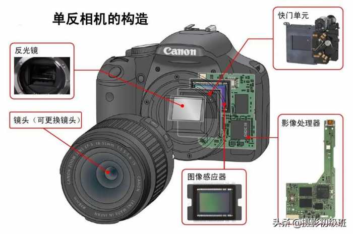 摄影基础知识：相机的分类