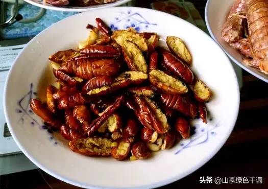 上海男子去东北媳妇家过年，每天的晚餐让他不敢动，网友：不懂吃