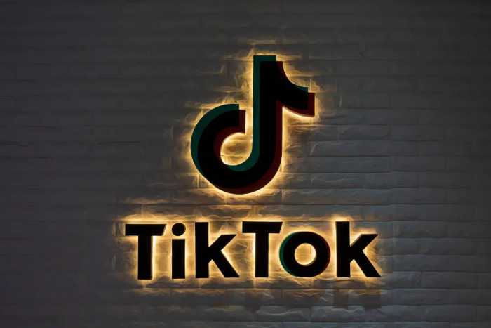 TikTok下载攻略：解锁全球网红之路